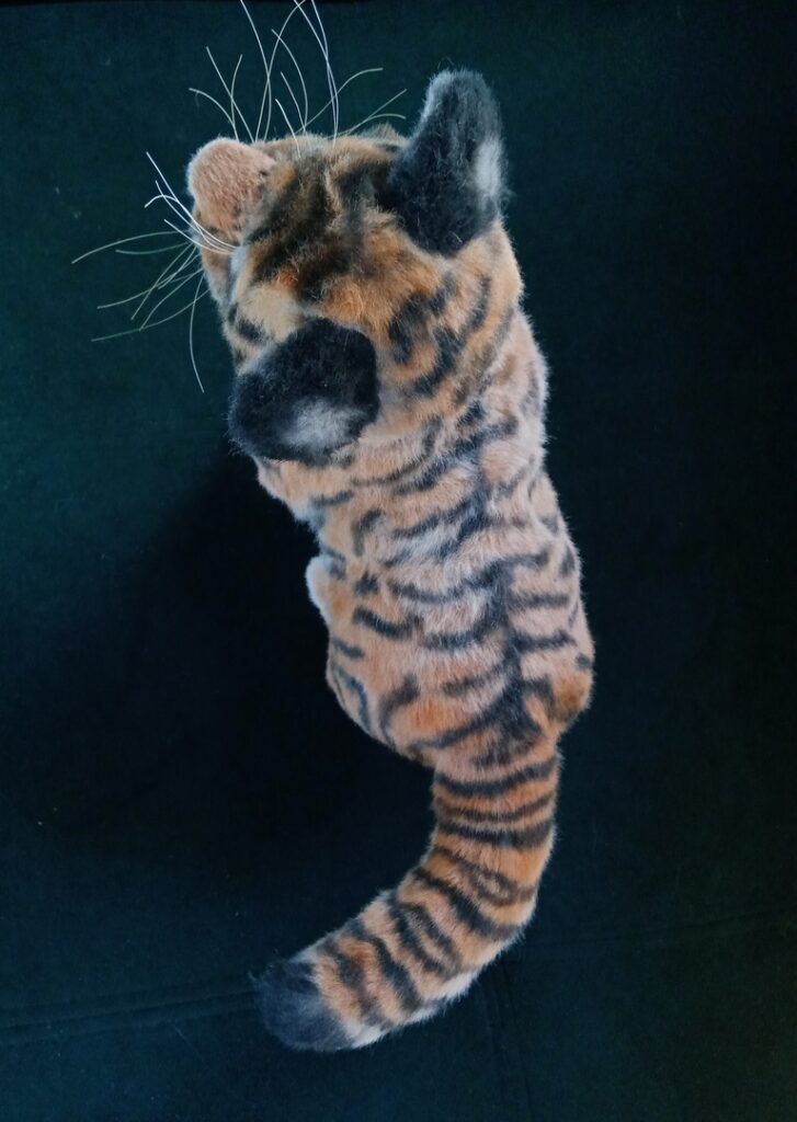 Тигр. Tiger.