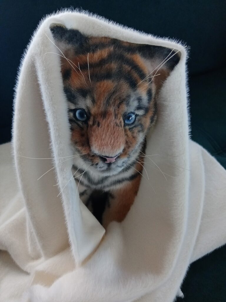 Тигр. Tiger.